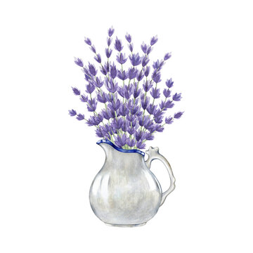 Lavender flower in a vase watercolor illustration. Hand painted lavandula in a white ceramic jug. Vintage style rustic element. Fresh aromatic lavender herb in a white vase. White background