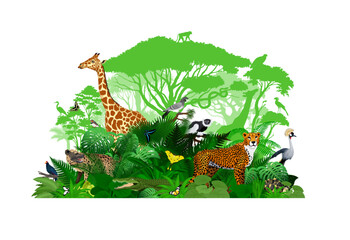 Vector Africa tropical jungle rainforest illustration with animals