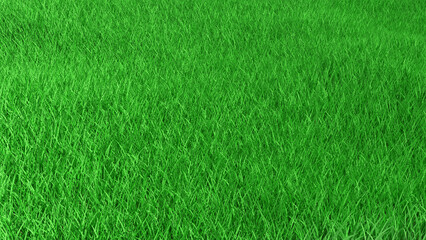 Grass field green meadow or lawn natural background texture with copy space. 3d rendered illustration. Spring or summer landscape environment design template. Sports field for football, soccer or golf