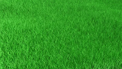 Schilderijen op glas Grass field green meadow or lawn natural background texture with copy space. 3d rendered illustration. Spring or summer landscape environment design template. Sports field for football, soccer or golf © elena.tres