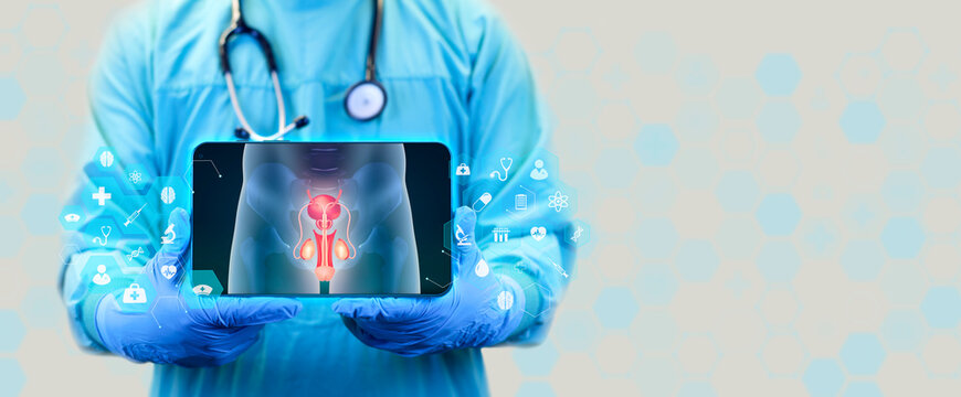 Doctor shows x-ray of male reproductive system in digital format. The male pelvic area is shown on the doctor's tablet. Isolated on white background