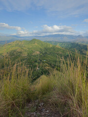 Cerro Picahos de Ola en Panama