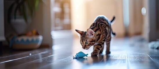 Playful young white purebred Bengal cat hunting on a blue fish toy on a fishing rod in a pastel coloured Scandinavian design interior. with copy space image. Place for adding text or design - obrazy, fototapety, plakaty