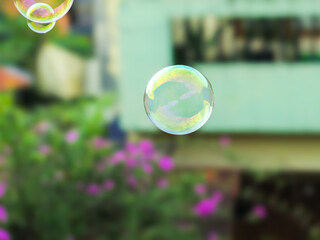 fun with bubble soap in sunny summer day. rainbow reflection in bubble soap surface. bubble soaps floating in the air.