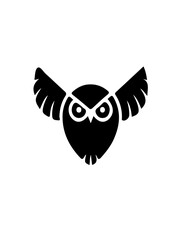 owl on white