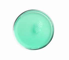 Petri dish with turquoise liquid sample on white background, top view