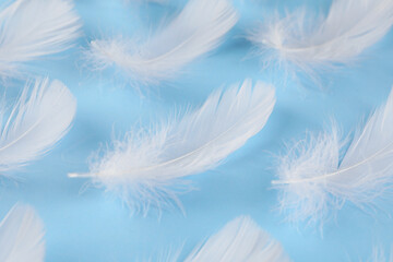 Fluffy white feathers on light blue background, closeup