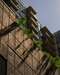 Foliage peeking above a concrete wall.