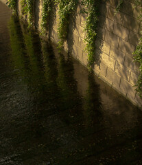 Sunset at a river.