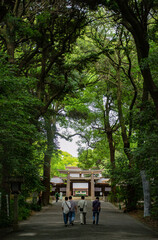 People walking through a Japanese forest towards a Shinto shrine.