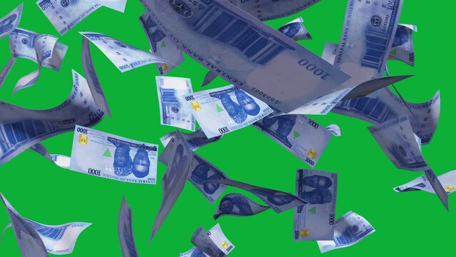 3D animation of Nigerian Naira notes Falling On Green screen. You can remove the background by keying or subtracting with the black and white matte to replace with a custom one
