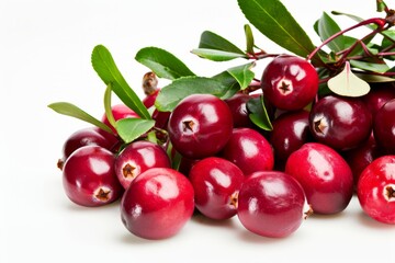A pile of cranberries with leaves is displayed on a white surface, appearing submerged.