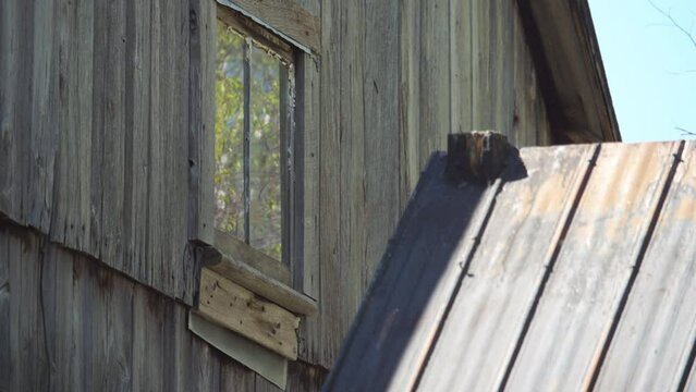 Reflexion of tree in window in the attic of the old house / Focus on window