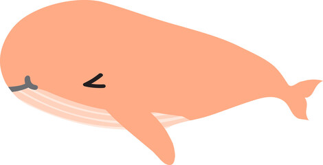 cute whale cartoon