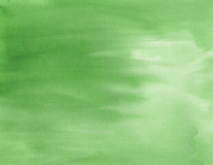 Green watercolor brush stroke painting. Monochrome washed aquarelle background. Soft colored paint.