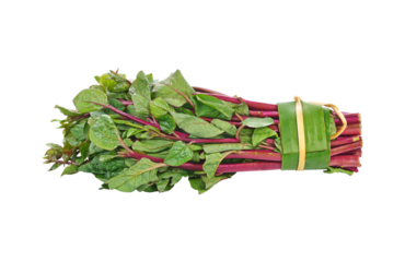 Ceylon spinach or Malabar spinach transparent png