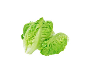 Fresh cos lettuce transparent png
