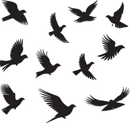 Obraz premium Flying birds black silhouettes on white background