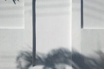 White gray concrete wall background and palm tree shadow.
