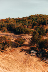 Obraz premium hut in the mountain with rolling hills