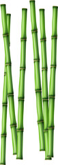 Bamboo tree leaf, plant stem and stick. Bamboo green and brown decoration elements in realistic style. transparent, png