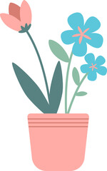 Flower Plant in a Pot