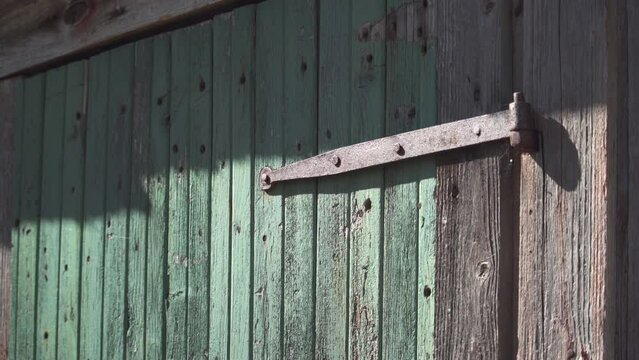 Old rusty metal hinge on green wood door