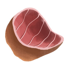 Beef Meat Water Color Illustrations