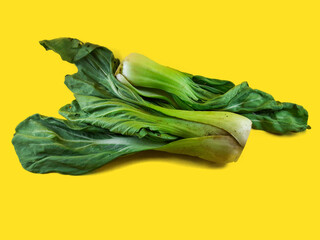 close up shot of green bok choy or chinese cabbage vegetables on isolated yellow background. - obrazy, fototapety, plakaty