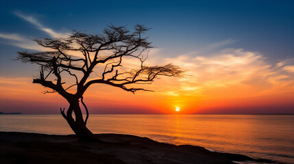 Fototapeta na wymiar Sunset Sentinel: Dead Tree Silhouette Stands Against the Sea's Evening Glow