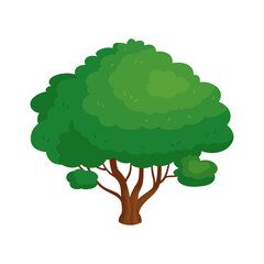 Vector big tree isolated cartoon on white background
