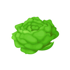 Vector hand drawn rose bouquet on white background