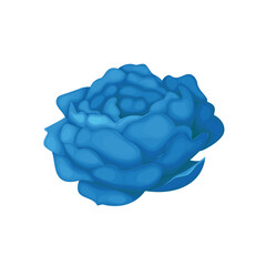 Vector hand drawn rose bouquet on white background