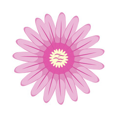 Fototapeta premium Vector hand drawn spring flower on white