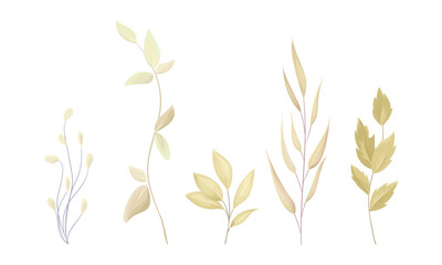 Vector hand drawn watercolor leaves set