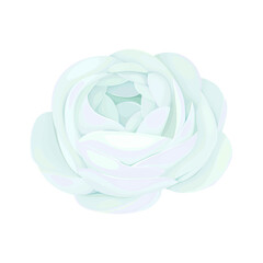 Vector hand drawn watercolor roses bouquet on white