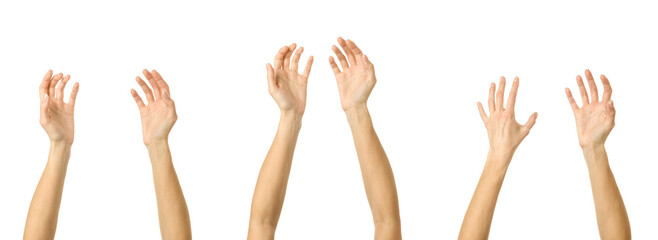 Hands holding something. Multiple images set of female caucasian hand with french manicure showing Hands holding something gesture