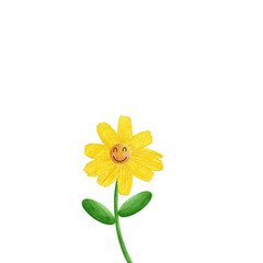 yellow flower isolated