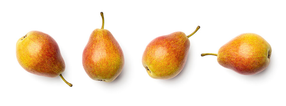 Collection of pears isolated on white background