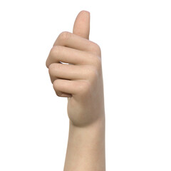 手を軽く握っていいねをしている女性の手を正面から見ている3Dイラスト素材