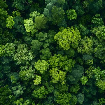 Sustainability net zero carbon