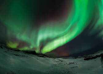 The Arctic night sky is illuminated by the enchanting Aurora Borealis, casting vibrant polar lights...