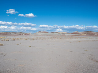 Fototapeta na wymiar Scenic dry flat badlands at Petrified Forest National Park - Arizona, USA
