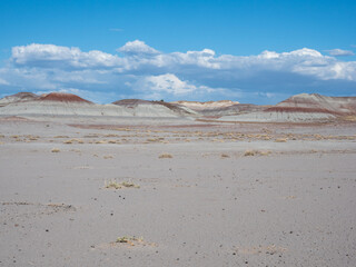 Scenic dry badlands at Petrified Forest National Park - Arizona, USA