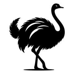 minimal ostrich bird vector silhouette, black color silhouette