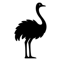 minimal ostrich bird vector silhouette, black color silhouette