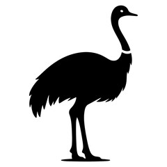 minimal ostrich bird vector silhouette, black color silhouette