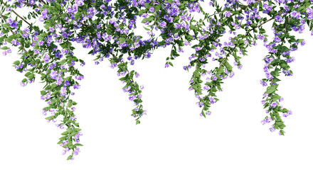  Philadelphus Bouquet Blanc isolate transparent background.3d rendering PNG