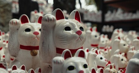 Lucky cat, religion and Shinto shrine in nature, trees and forest with wish, faith or culture environment. Animal, toys and temple for statue, worship or Buddhism with icon, symbol or wave in Japan