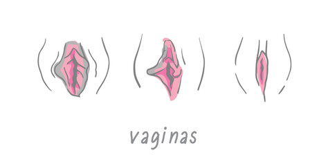 Different types of female vaginas. Illustrator EPS10.eps